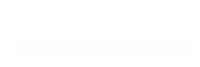 Reisilaev Monica Logo